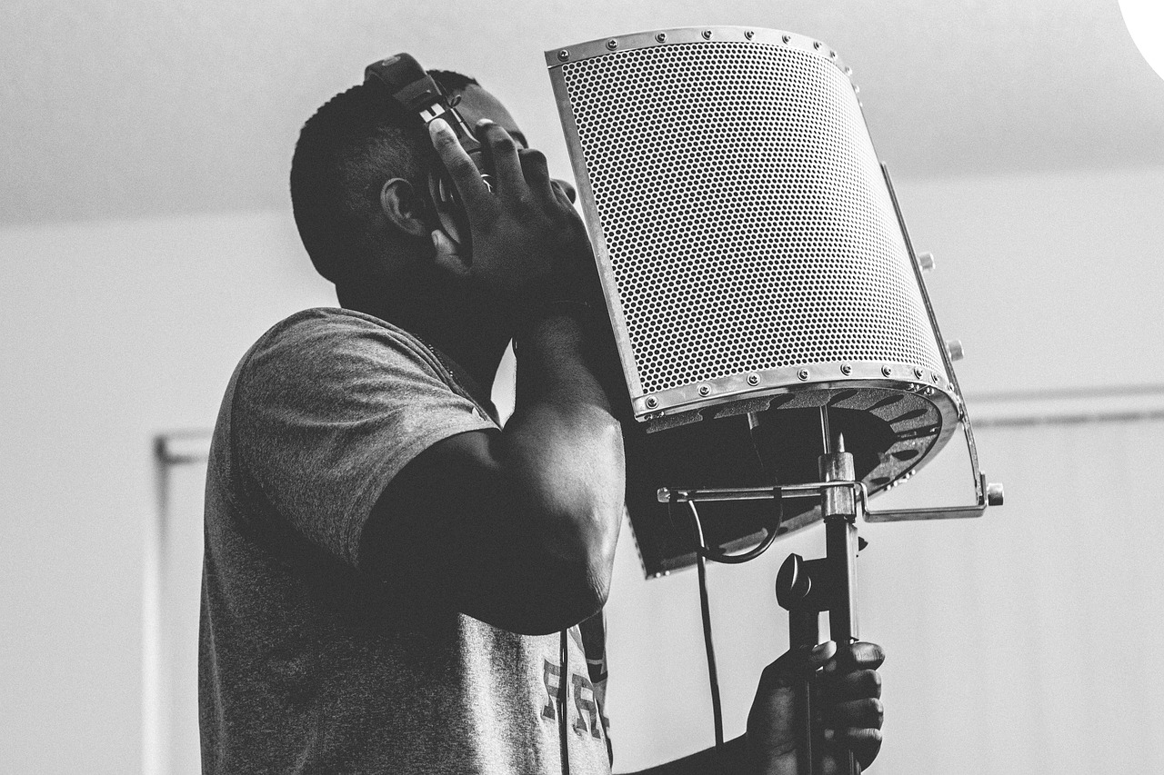 Artist Submissions